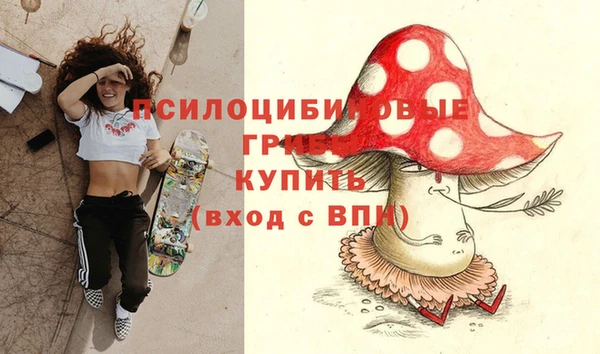 спиды Зерноград