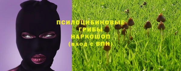 спиды Зерноград