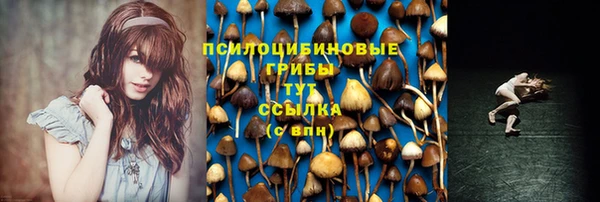 apvp Зеленодольск