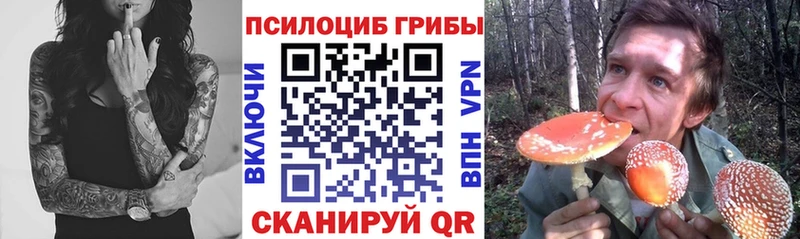 Галлюциногенные грибы Psilocybine cubensis  Уржум 